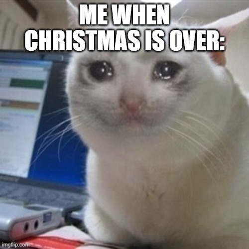 Crying cat Imgflip