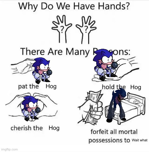 Why do we have hands? (all blank) Imgflip