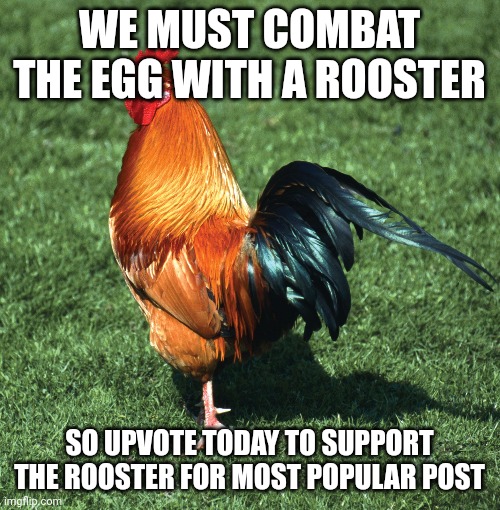 Down with Egg! Imgflip