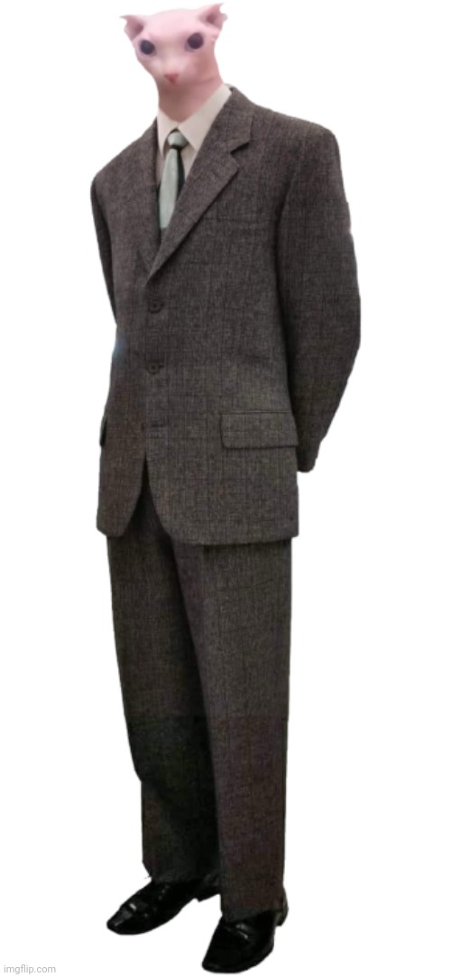 Image tagged in bingus in suit Imgflip