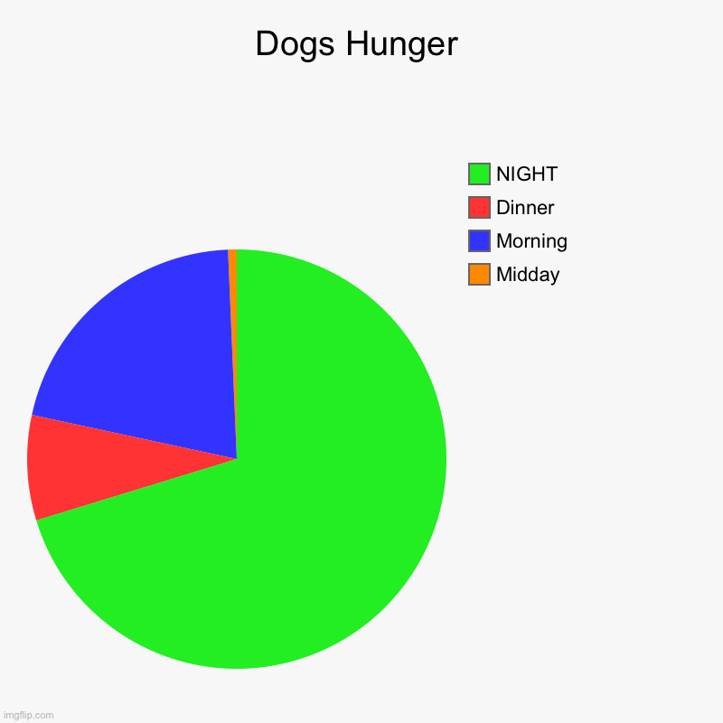 My dog is always hungry at night Imgflip