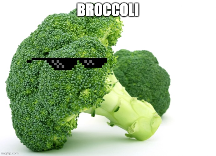 Broccoli Memes Imgflip