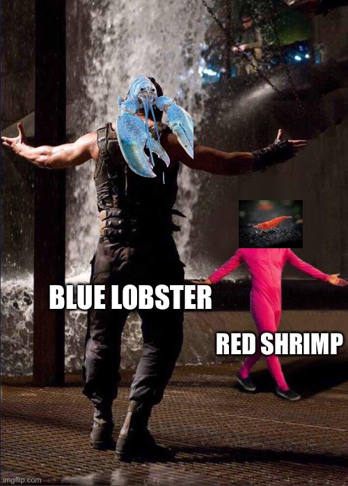 Blue Lobster Finally a challenge worthy enough of my power! Imgflip