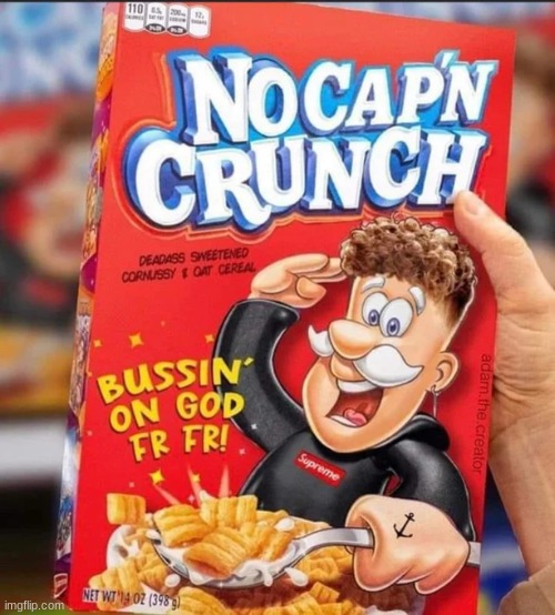 I HATE GEN Z SLANG Imgflip