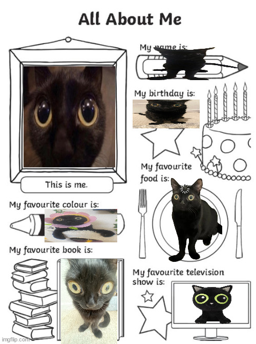 all about me Imgflip