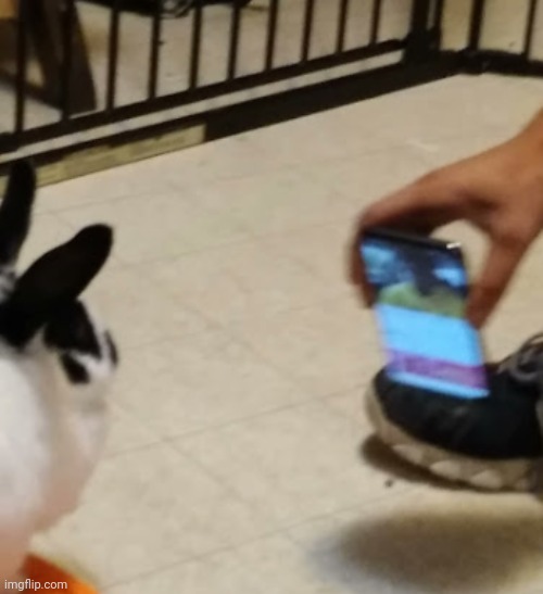 har har har har har Imgflip