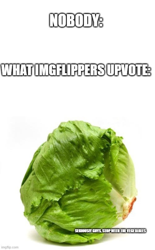 Image tagged in blank white template,lettuce get some head Imgflip