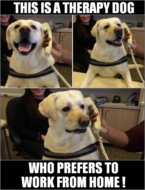 Tell Him Your Problems And Everything Will Be Fine ! Imgflip