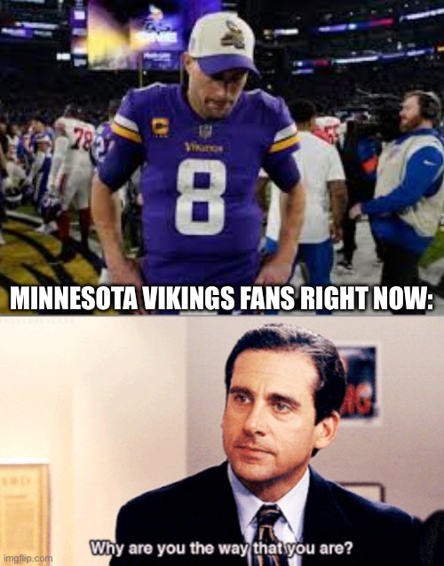 Minnesota Vikings Fans Imgflip