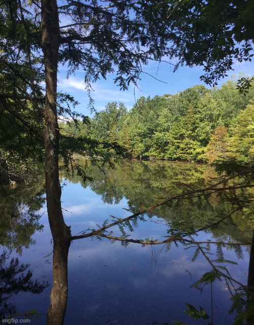 Another photo from a lake near me Imgflip