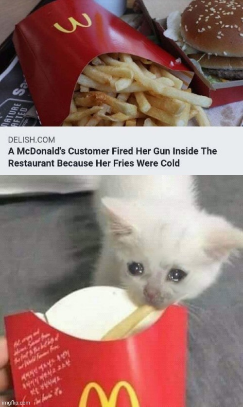 Cold fries Imgflip