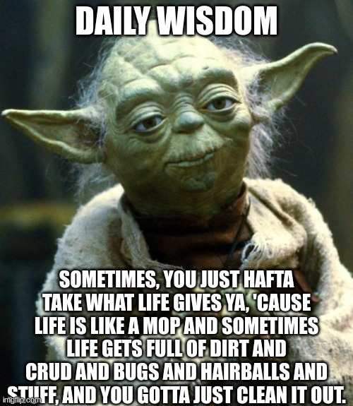 This daily wisdom is a quote from the character Stanley from UHF Imgflip