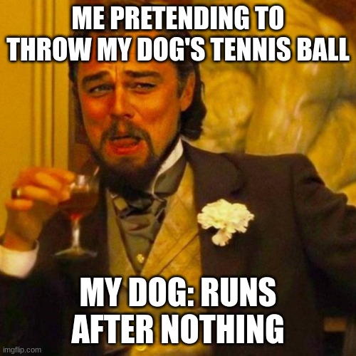 leonardo caprio Imgflip