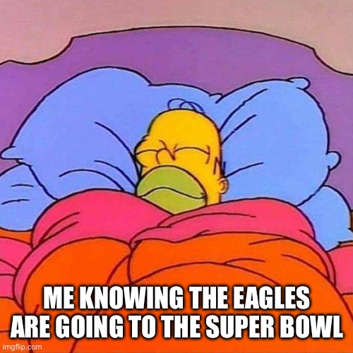 The Eagles Are Going To The Super Bowl Imgflip