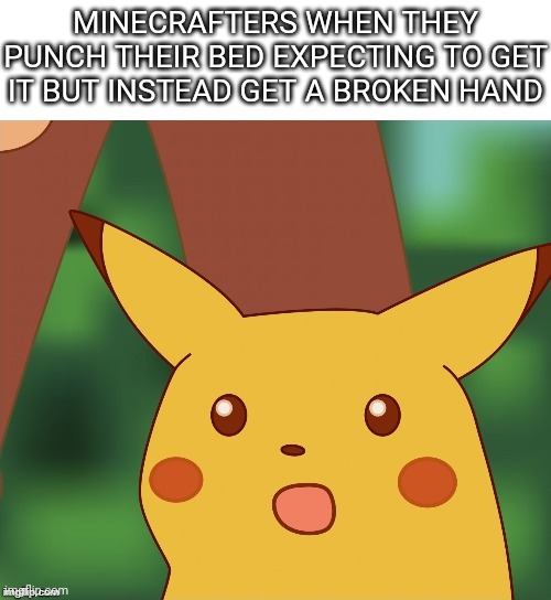 Do not try at home...or do. It's up to you >) Imgflip