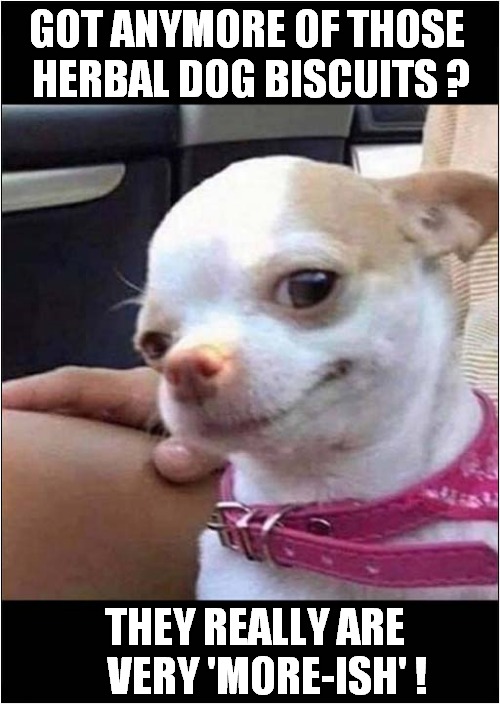 Just Look At Those Eyes ! Imgflip