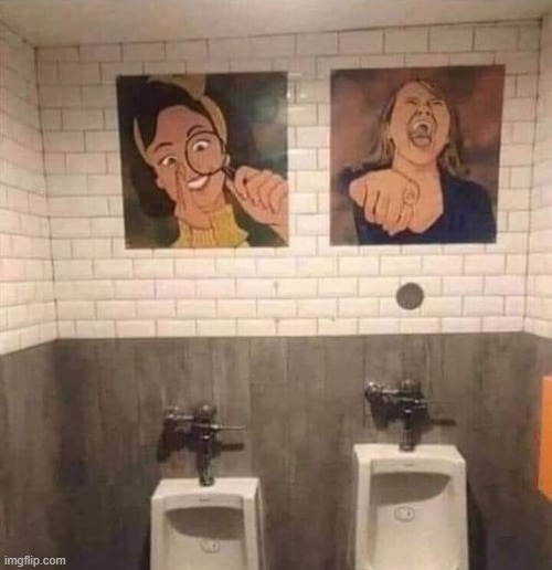 I'm not sure if this is a bad bathroom design or funny bathroom design