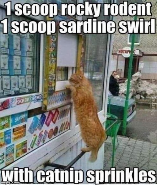 Kitty ice cream Imgflip