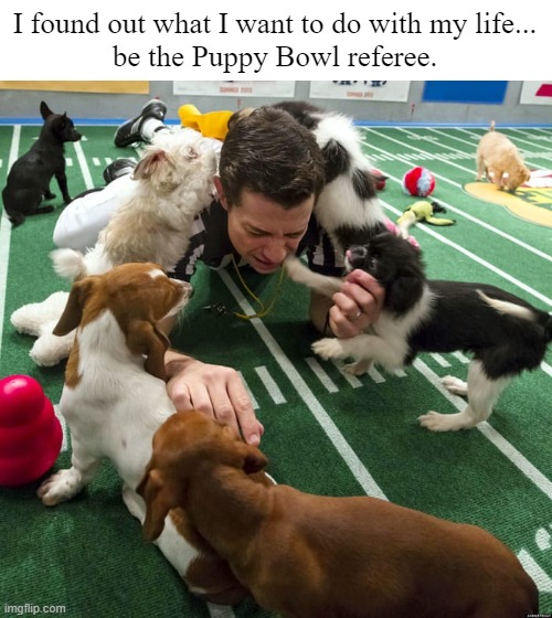 Puppy Bowl Imgflip
