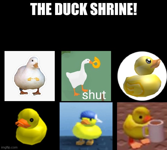 ALL HAIL THE DUCK!!! Imgflip