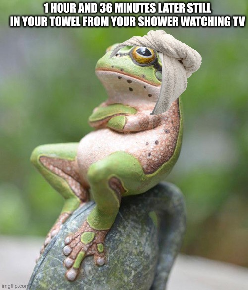 I couldn’t find a towel to wrap the frog in Imgflip