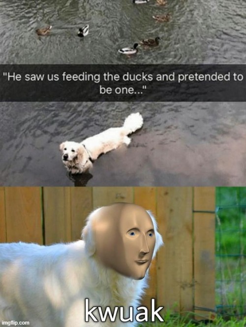 such a smart guy Imgflip