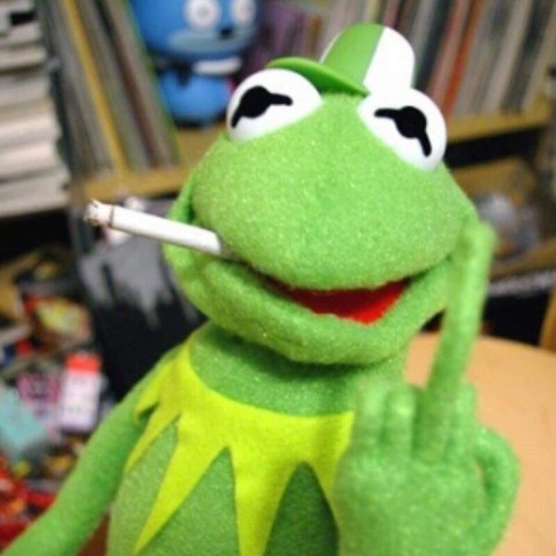 Kermit flipping the bird Blank Template Imgflip