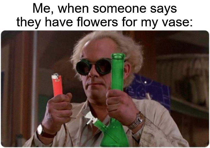 Image tagged in back to the future,weed,flowers,bong Imgflip