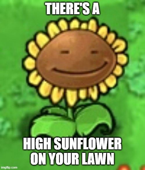 we dont want high sunflowers on the lawn Imgflip