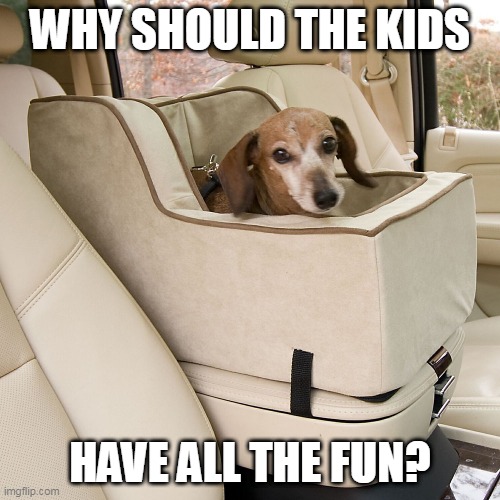 DOGGIE HAS A CAR SEAT Imgflip