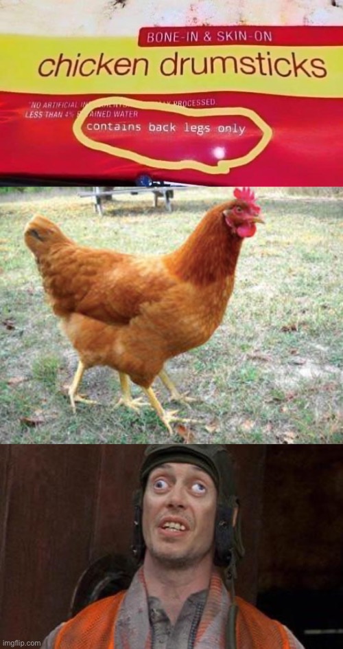 Back legs only Imgflip