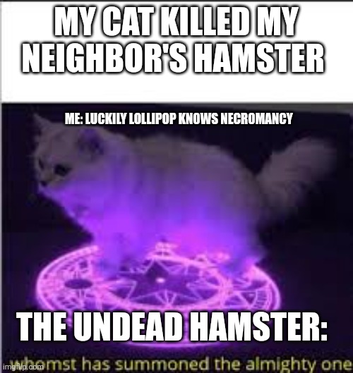 Lollipop the cat knows necromancy Imgflip