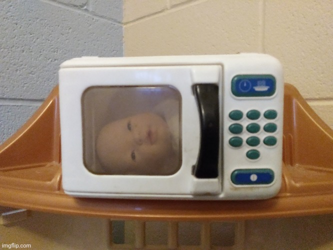 My girlfriend put this baby in a microwave Imgflip