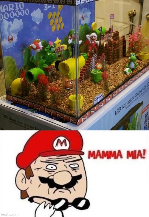 WATER WORLD FISH TANK Imgflip