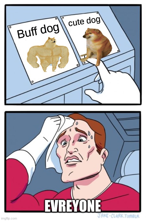 buff dog or cute dog Imgflip