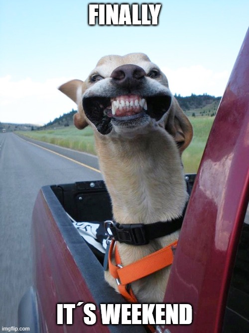 Finally its weekend Imgflip