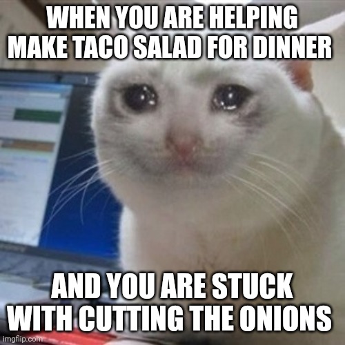 I don't like cutting onions Imgflip