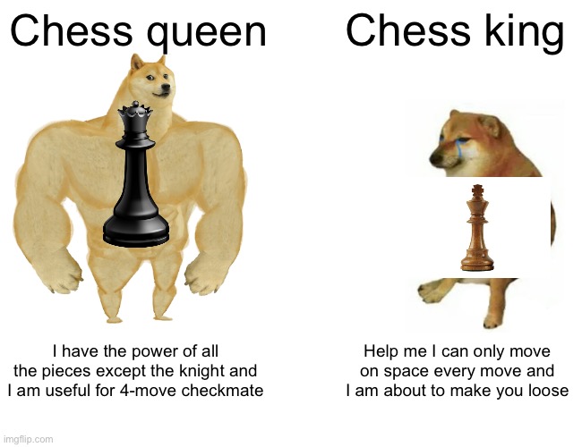 Chess Meme Imgflip