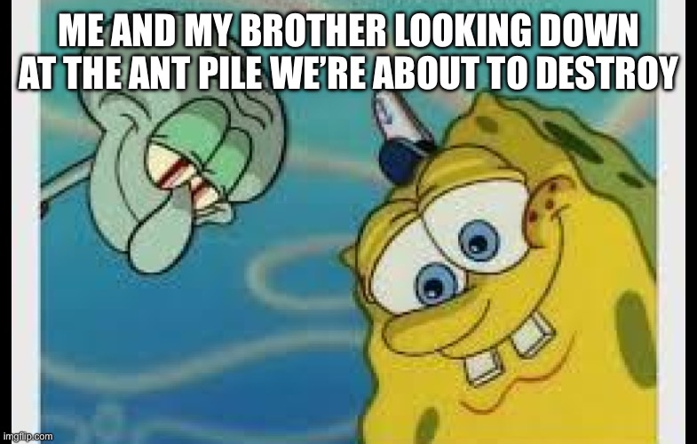Spongebob and Squidward looking down on pizza Memes Imgflip