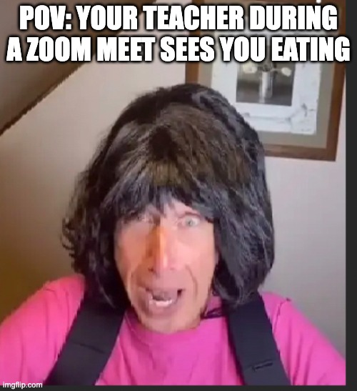 Zoom meets be like Imgflip