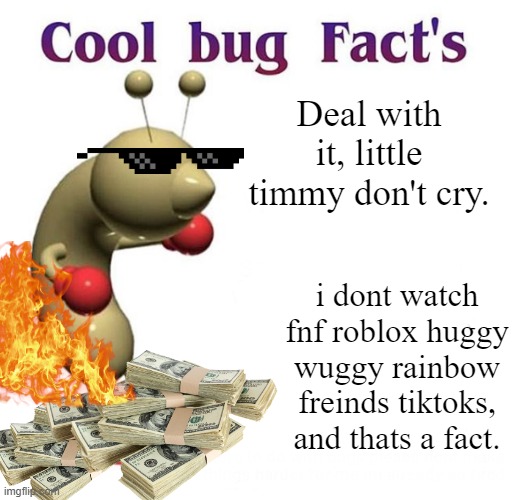 Cool Bug Facts Imgflip