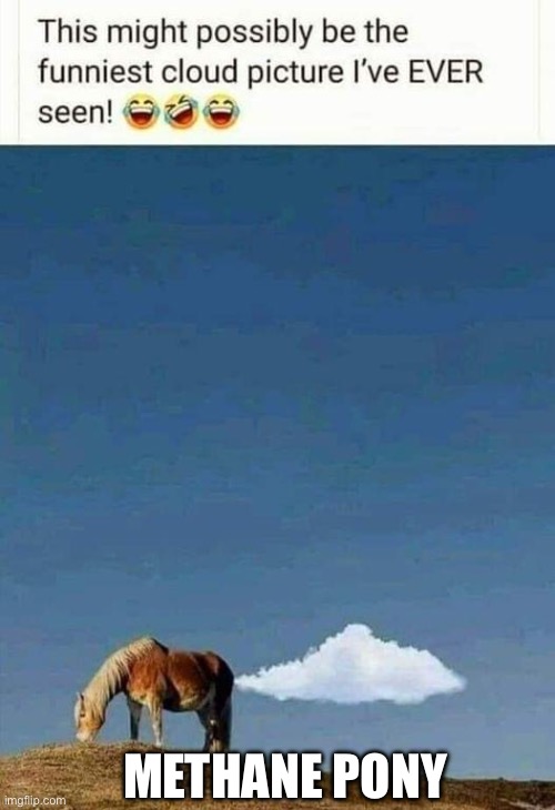 Methane pony Imgflip