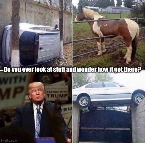 How did it get there? Imgflip