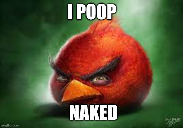 Realistic Red Angry Birds - Imgflip