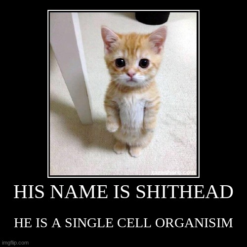 FUNNY LITTLE GUY Imgflip