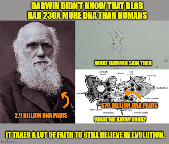 The Science of Destroying Evolution Imgflip
