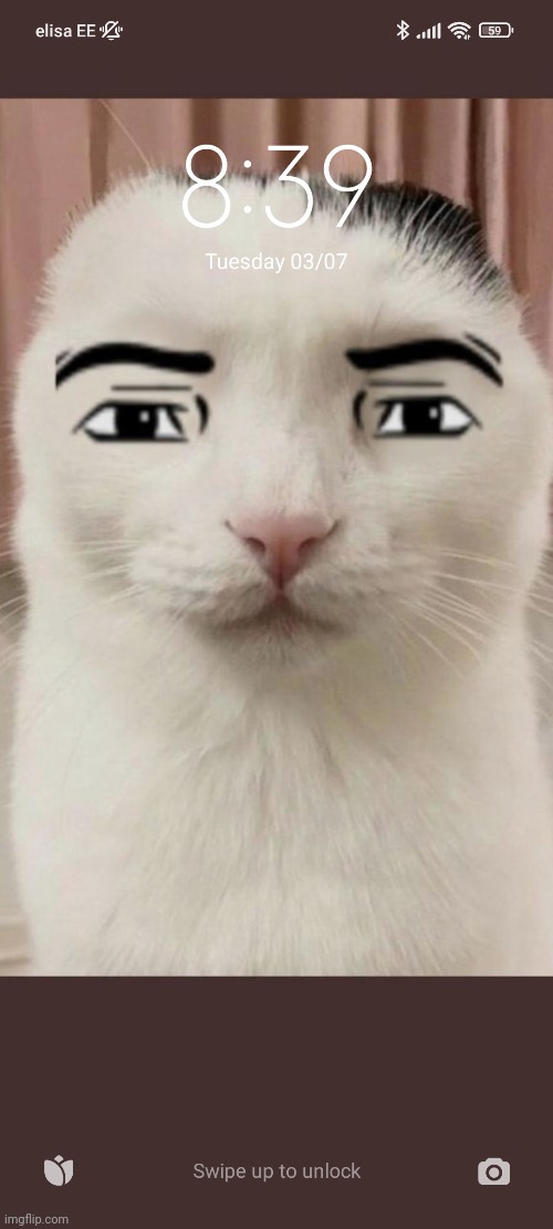 Should I change my wallpaper? Imgflip