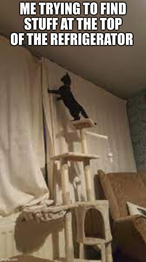 the struggle of being short Imgflip