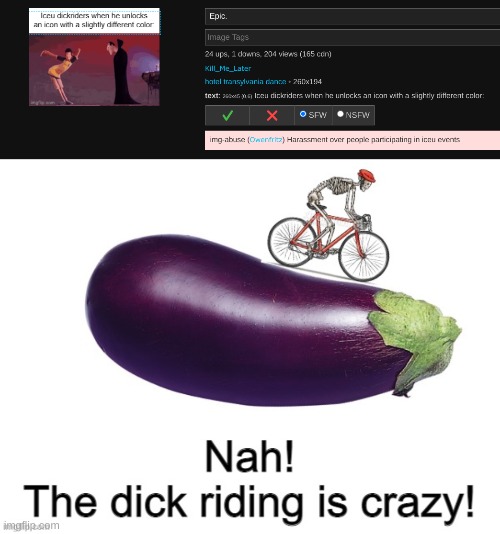 Image tagged in nah the dick riding is crazy Imgflip