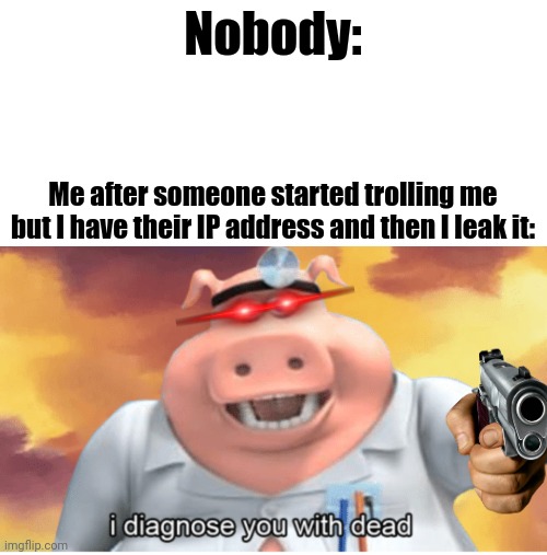 Image tagged in i diagnose you with dead,hacker,ip address,troll Imgflip